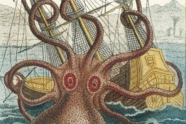 Kraken 13 at com