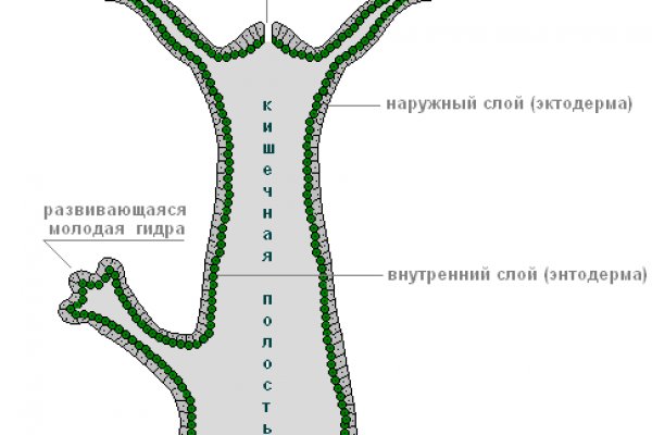 Почему кракен перестал работать