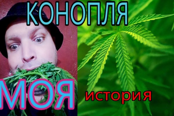 Актуальная ссылка на кракен kraken