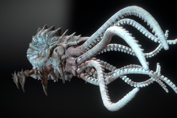 Kraken купить клад