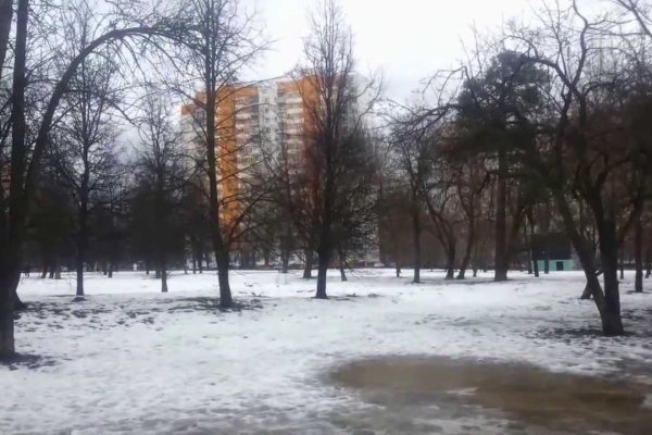 Что продает кракен