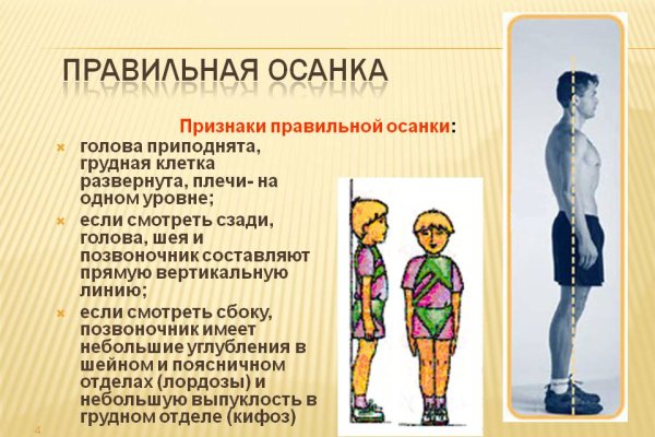 Прямая ссылка на кракен