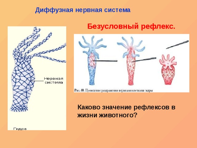 Как восстановить кракен