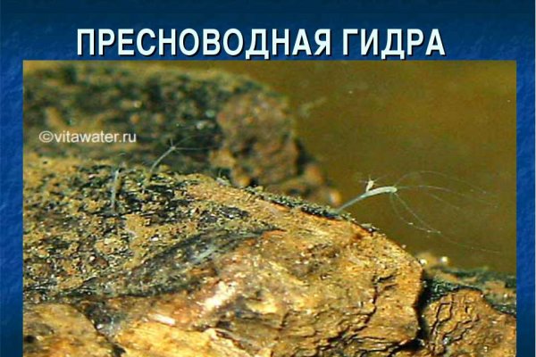 Кракен сайт войти