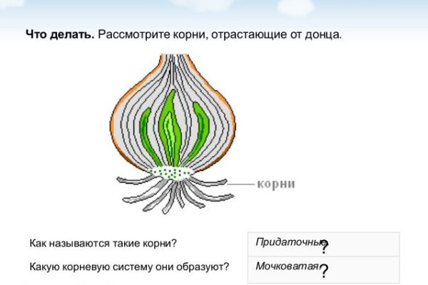 Кракен даркнет только через тор скачать