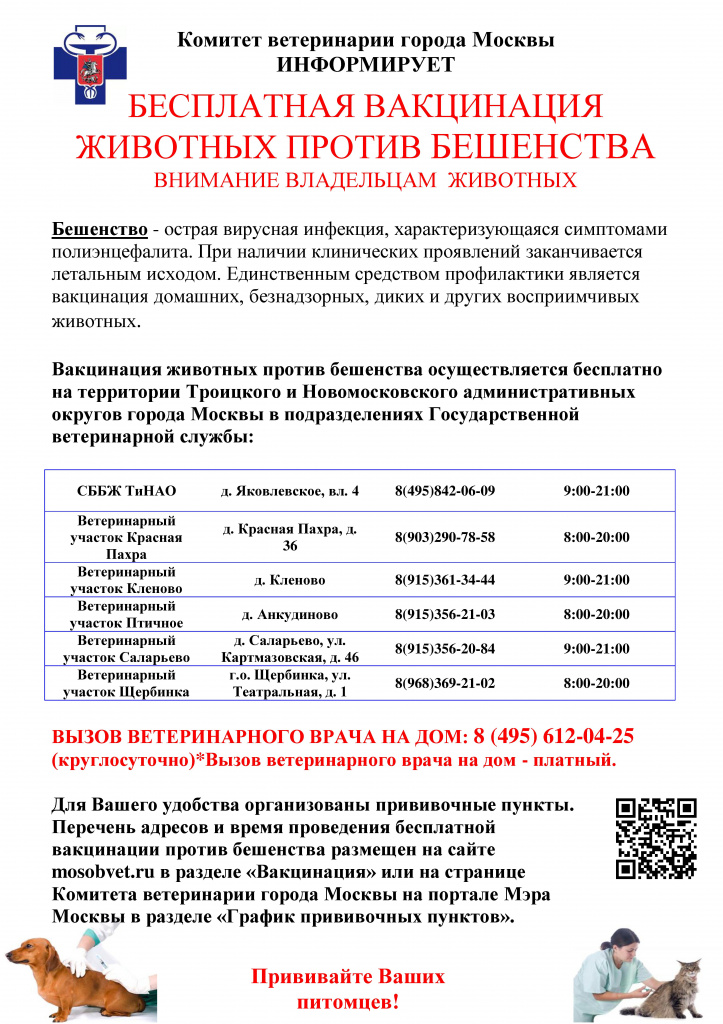 Можно ли зайти на  через обычный браузер