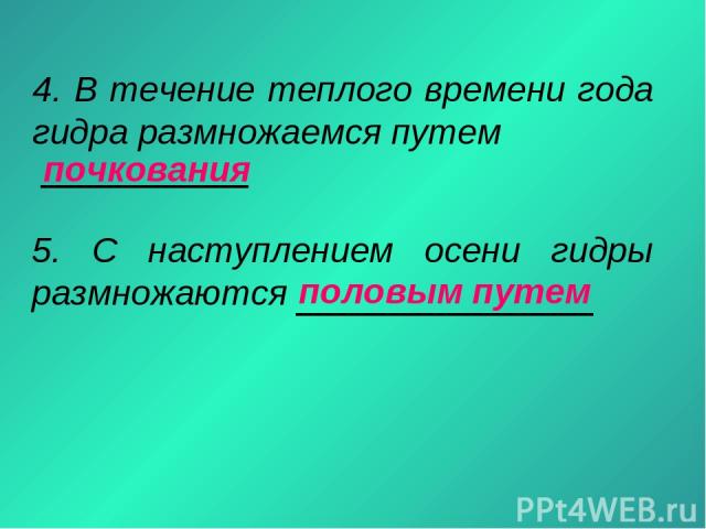Кракен наркошоп сайт
