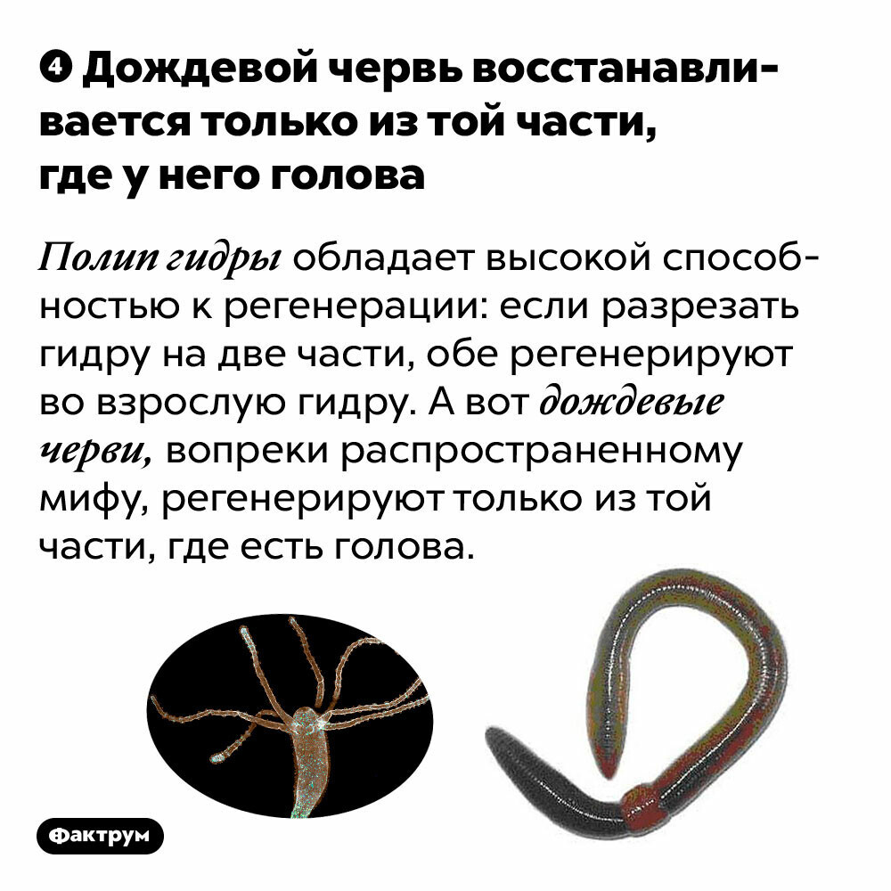 Кракен маркетплейс закрыли